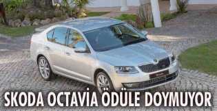 Skoda Octavia'ya ödüle doymuyor