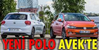 Yeni Polo, Avek'te 