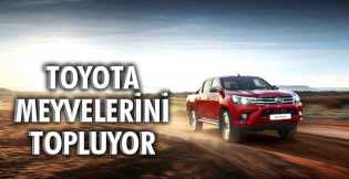 Toyota meyvelerini topluyor